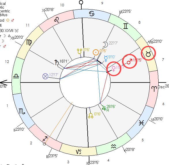 소개팅 호라리 차트