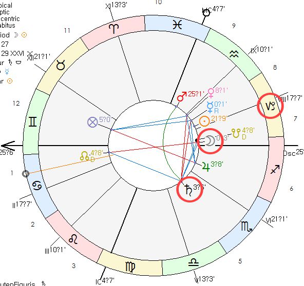 공무원 네이탈 차트