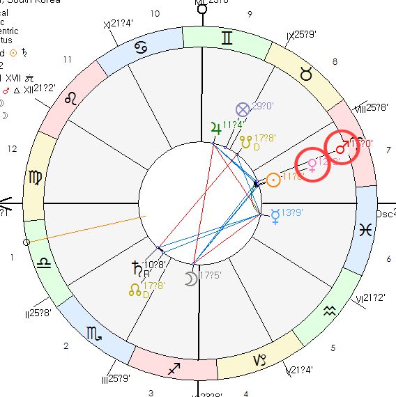 고양이 호라리 차트