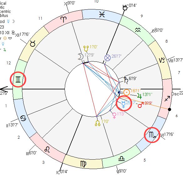 전업 작가 네이탈 차트